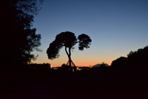 MONTSERRAT 2017 059