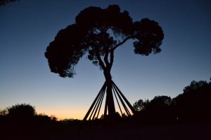 MONTSERRAT 2017 051